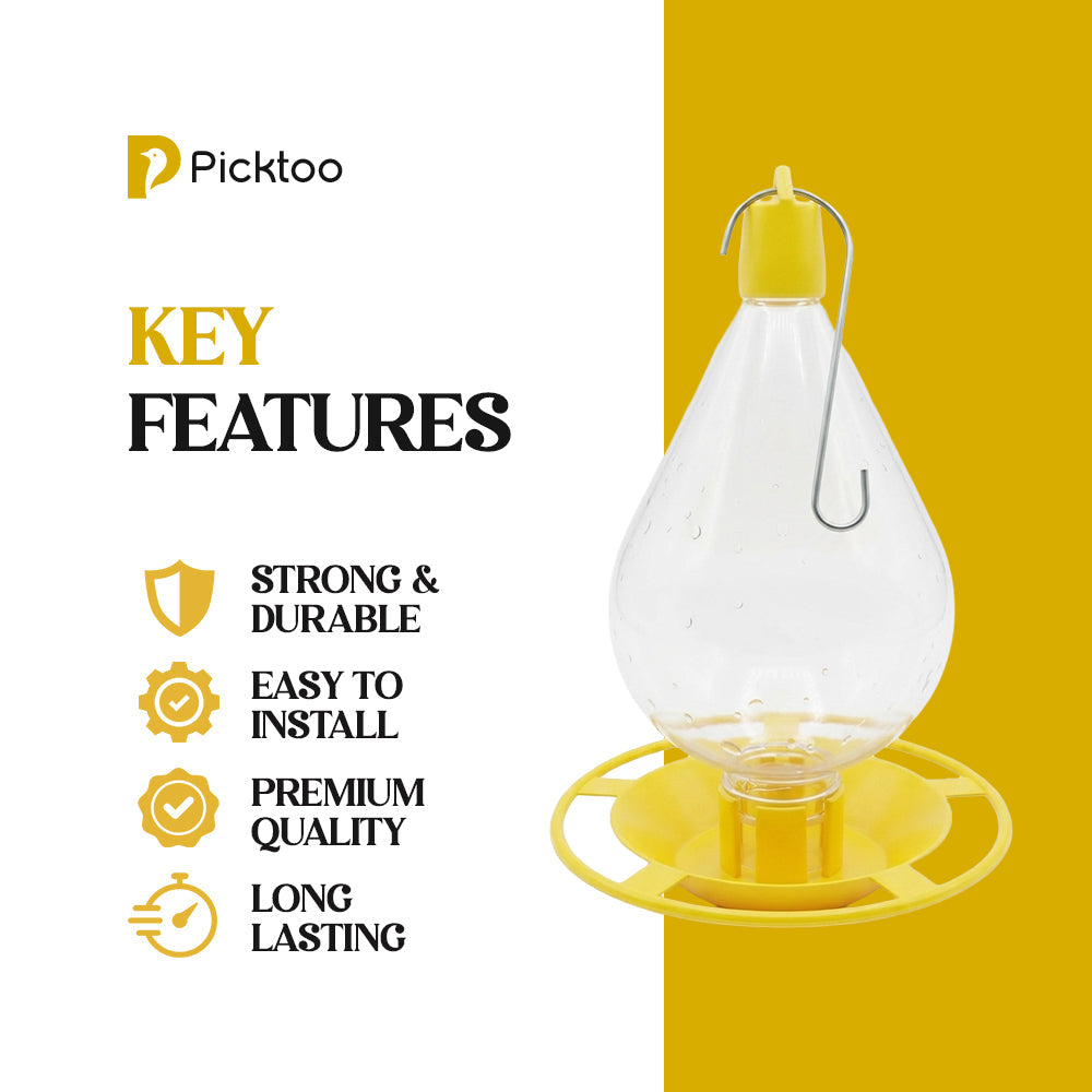 🐦 Premium Hanging Bird Water Feeder