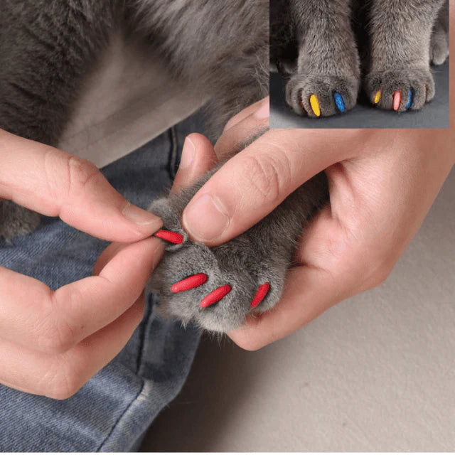 Imported Soft Silicone Nail Caps For Cats (Pack of 20)