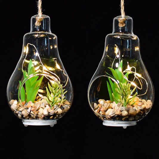 Elegant Hanging Terrarium Planter with Rope