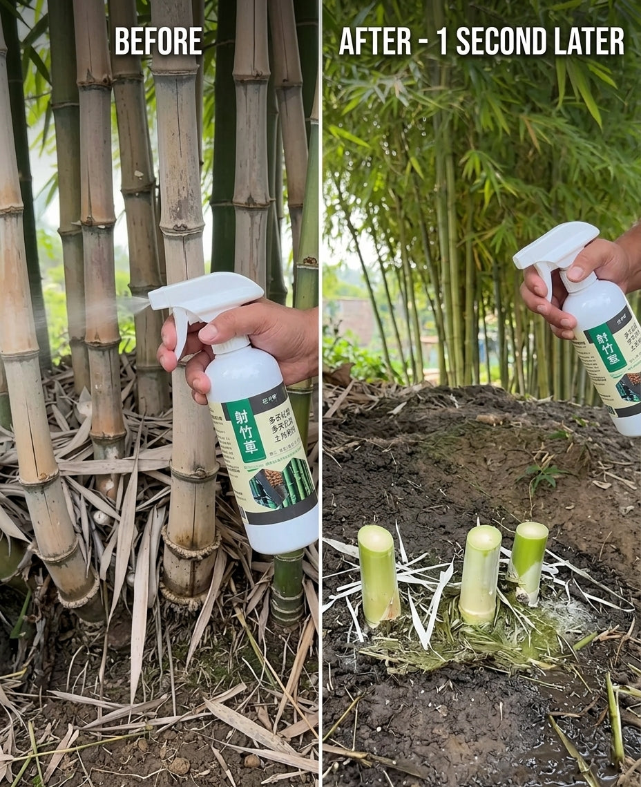 Natural Garden Care Spray