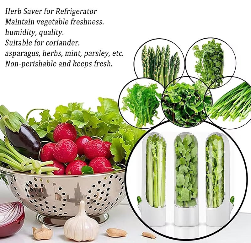 High Quality Fresh Herb Storage Keeper