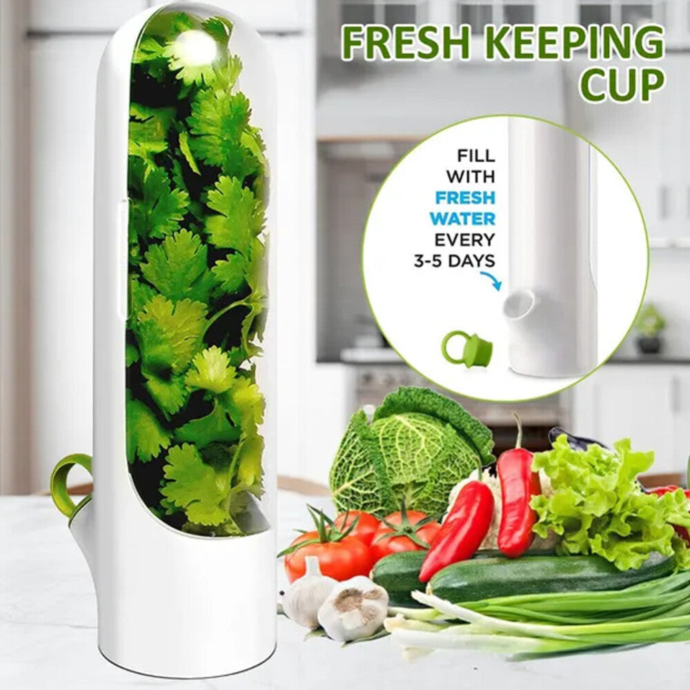 High Quality Fresh Herb Storage Keeper